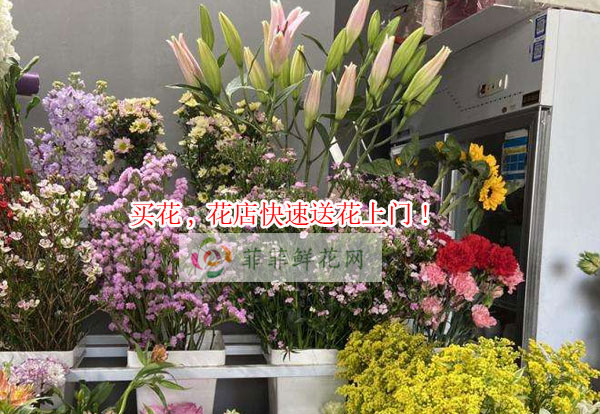 商丘民权县买花,商丘民权县花店快速送花上门!
